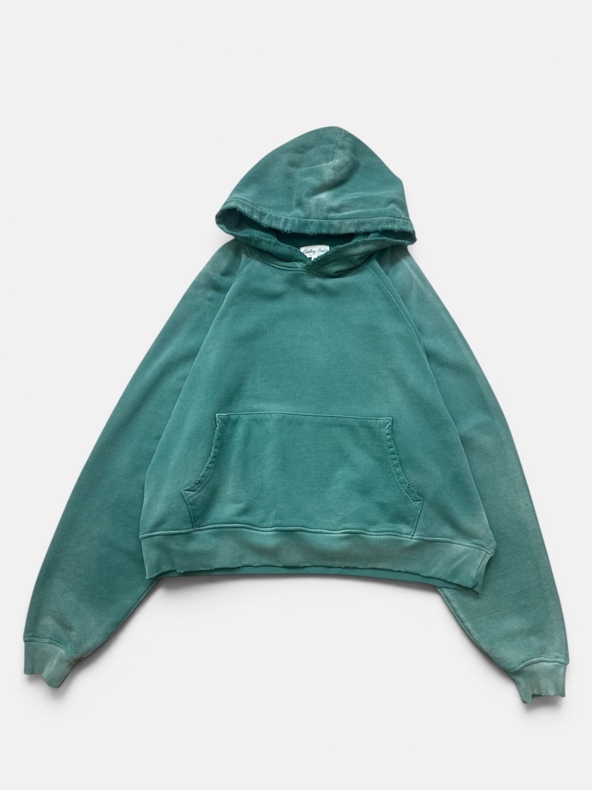 Faded Lasso Hoodie