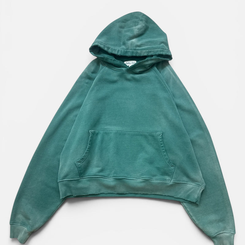 Faded Lasso Hoodie