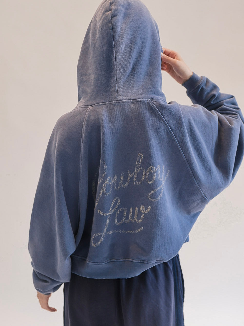 Faded Lasso Hoodie