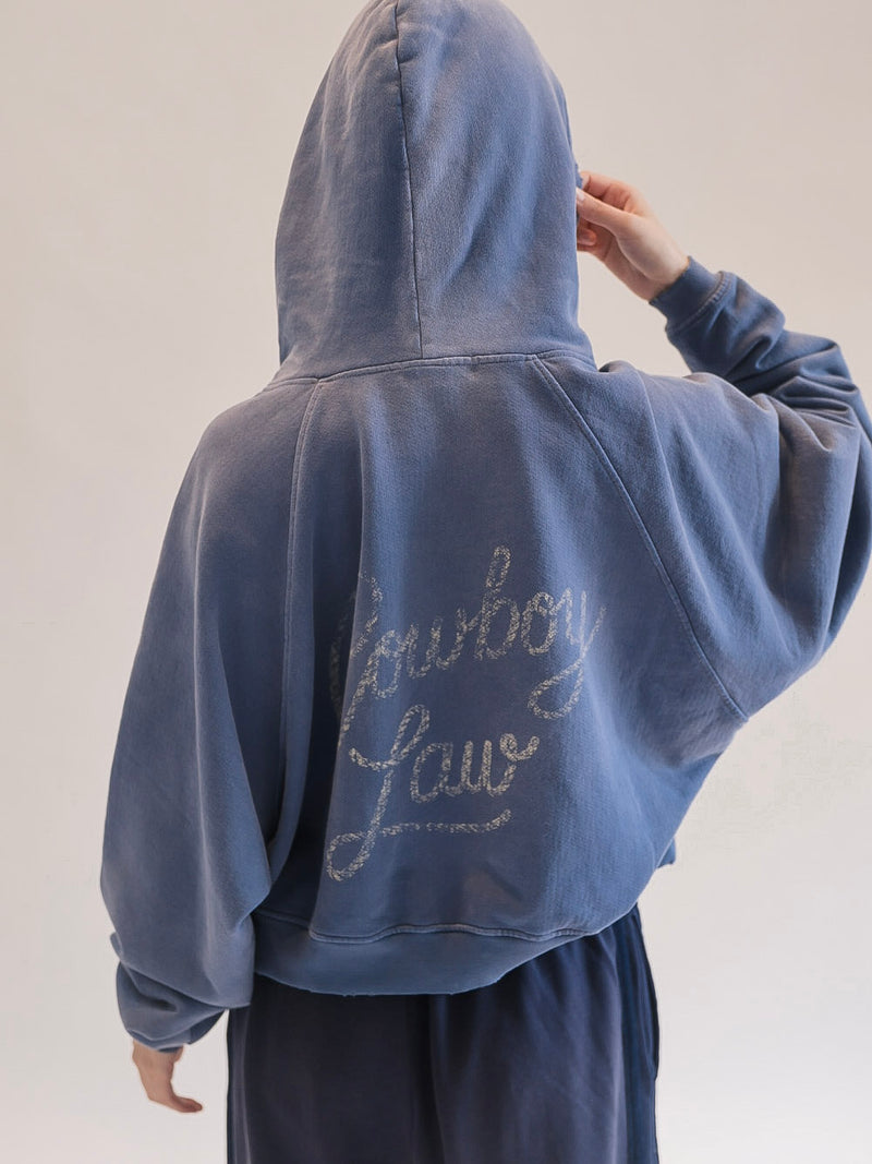 Faded Lasso Hoodie back